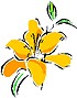 Лилейники